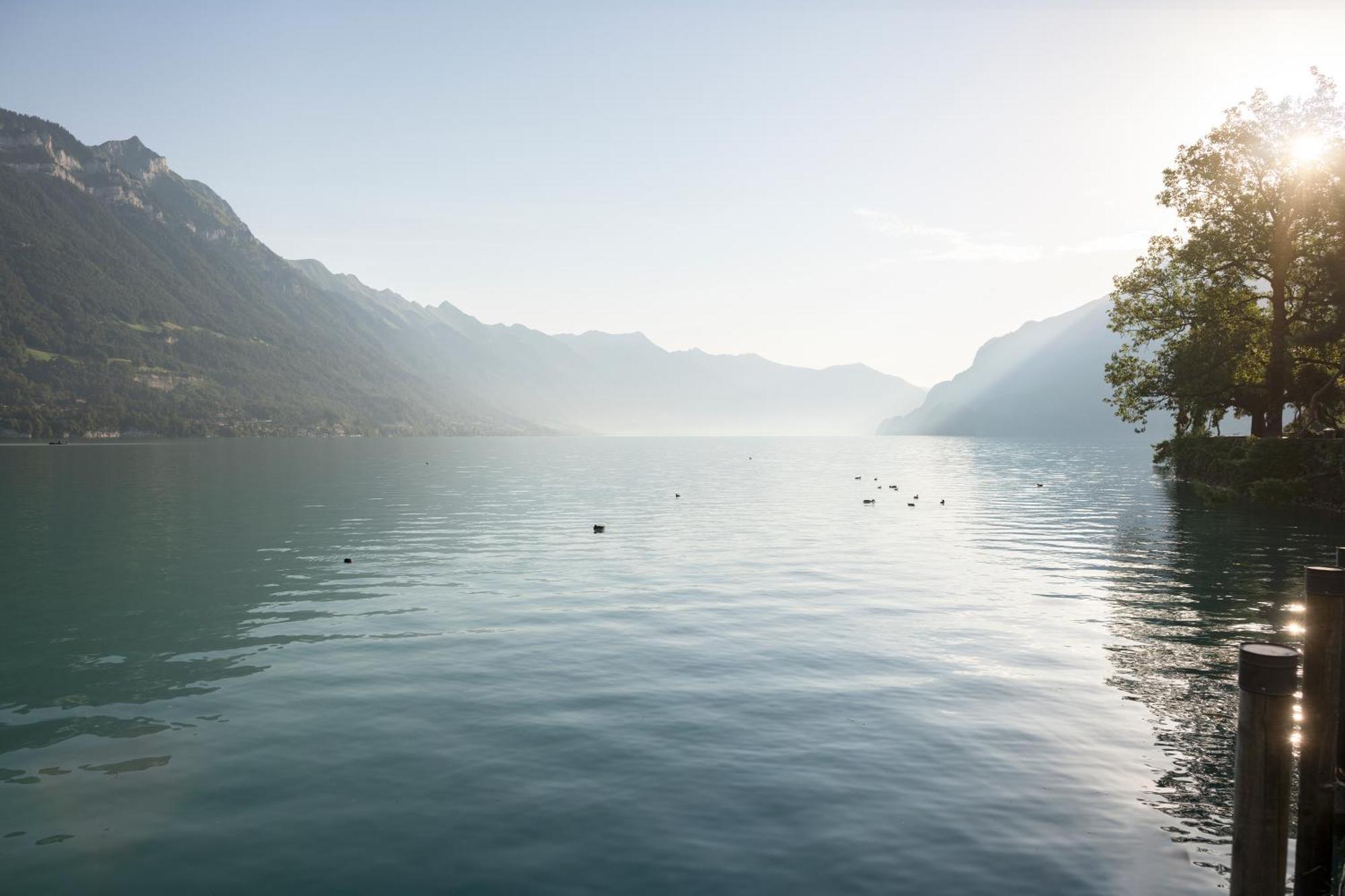 Seiler Au Lac Bonigen Exterior foto